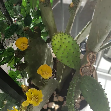 Pensjonat Etna Group Katania